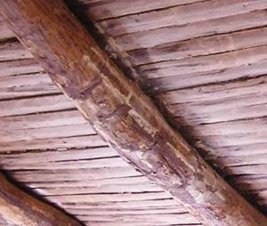 Il rafforzamento dei solai in legno:la stuccatura  delle travi ad intervento concluso